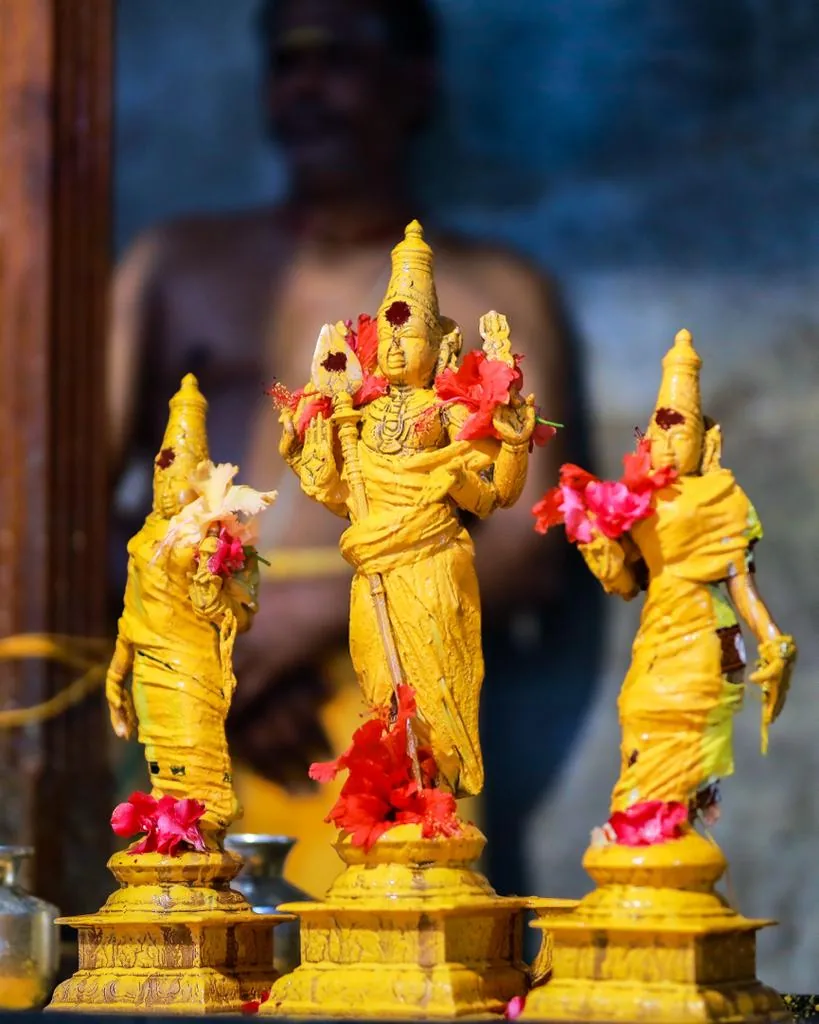 உற்சவர் தைப்பூசம் 5 ஆம் நாள் திருவிழா உற்சவர்