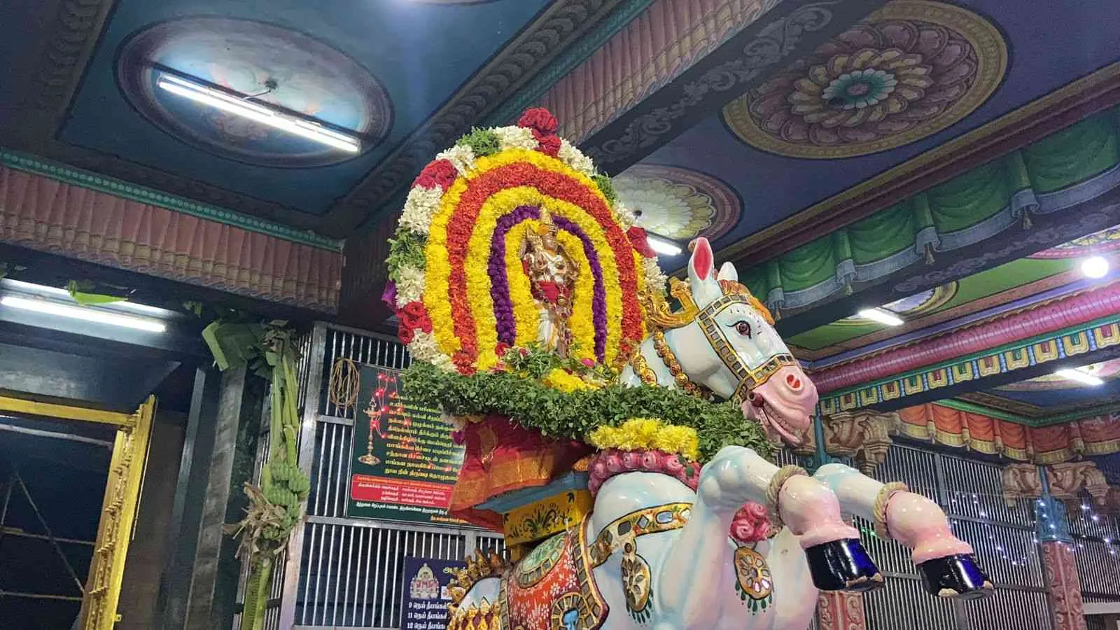 தைப்பூசம் 8ம் திருவிழா குதிரை வாகனம் தைப்பூசம் 8ம் திருவிழா குதிரை வாகனம்