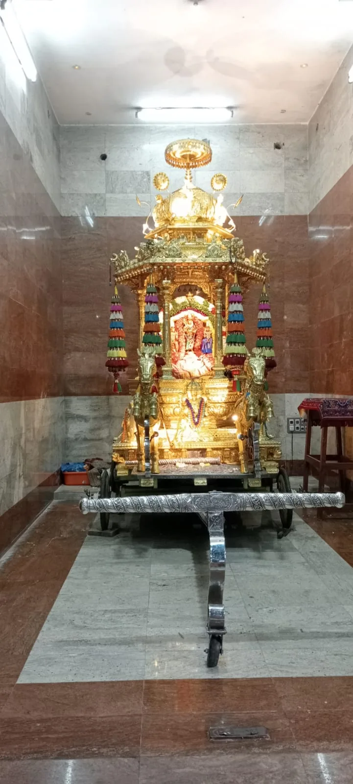 தைப்பூசம் 9ம் திருவிழா தங்க தேரோட்டம். தைப்பூசம் 9ம் திருவிழா தங்க தேரோட்டம்.