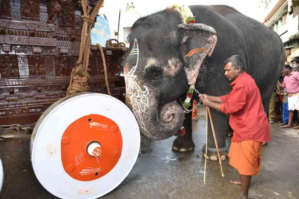 2021ம் ஆண்டு தைப்பூசத்திருவிழா தேர் திருவிழா 2021ம் ஆண்டு தைப்பூசத்திருவிழா தேர் திருவிழா