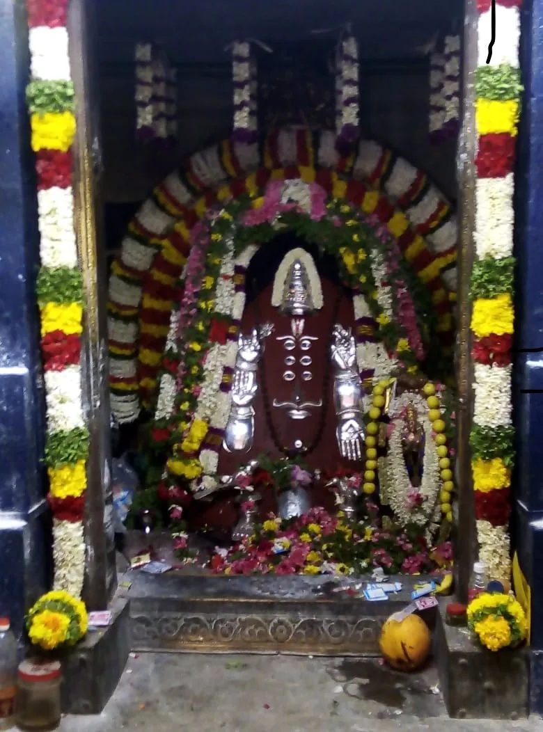 மூலவா் சனீஸ்வர பகவான் சுயம்புவாய் எழுந்தருளியுள்ள ஒரே தலம் குச்சனூர் தான். சனீஸ்வர பகவான் இரகுவம்சத்தில் பிறந்தவர்.