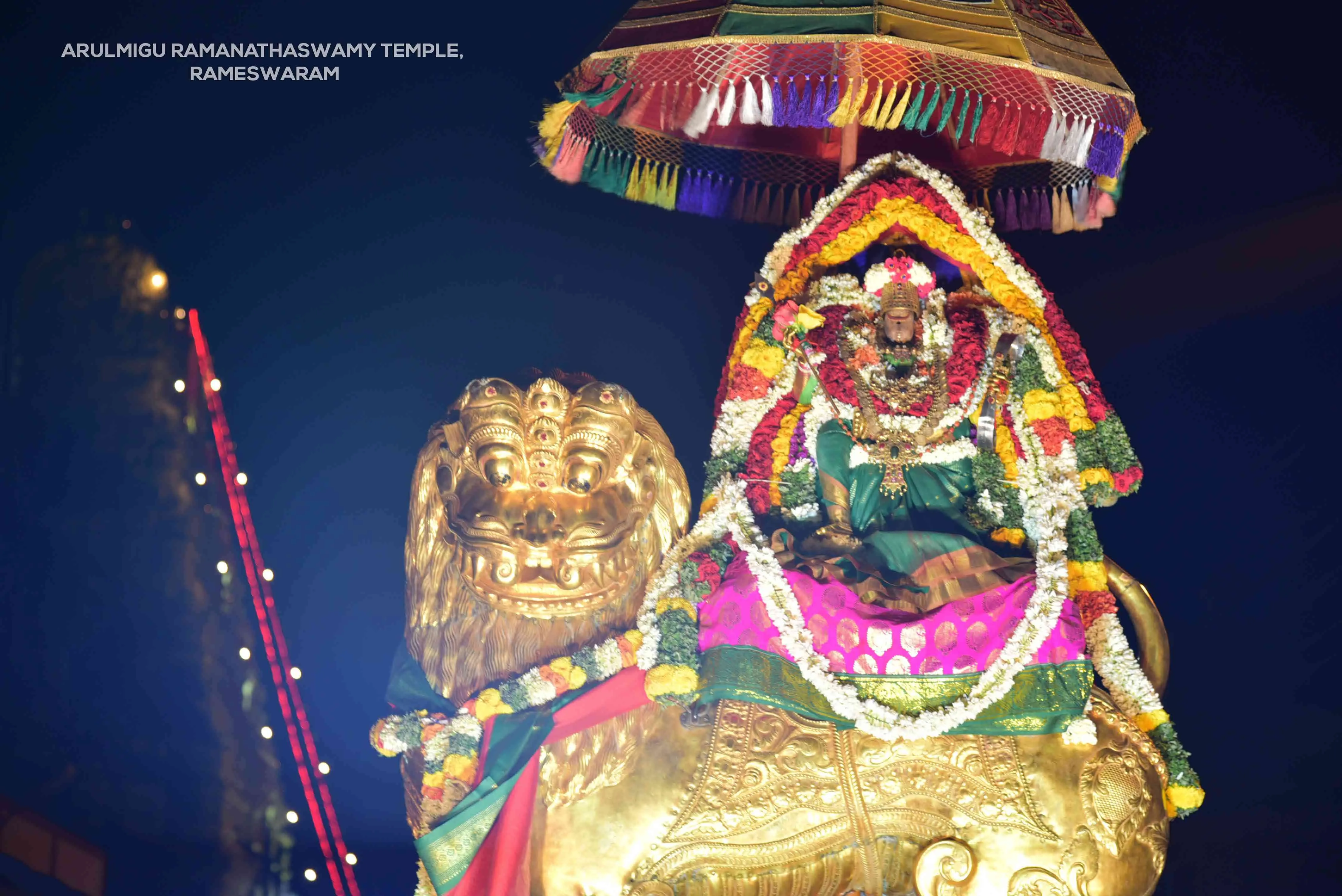 அம்பாள் சிம்மவாகனம் அம்பாள் சிம்மவாகனம்