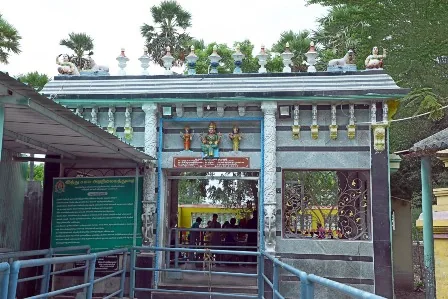 தலவிருட்ச மண்டபம் திருக்கோயிலின் தென் கிழக்குப் பகுதியில் அமைந்துள்ள தலவிருட்ச மண்டபம்