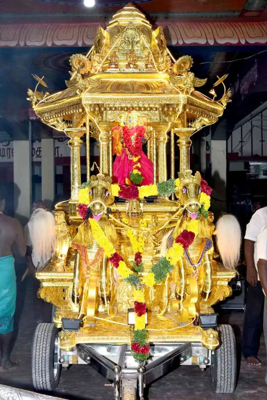 தங்கதேர் அருள்மிகு பத்திரகாளியம்மன் தங்க தேர்