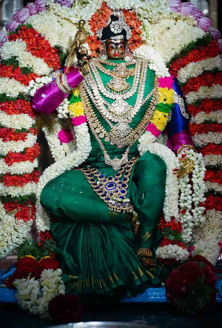 திருவிழா 2022 /