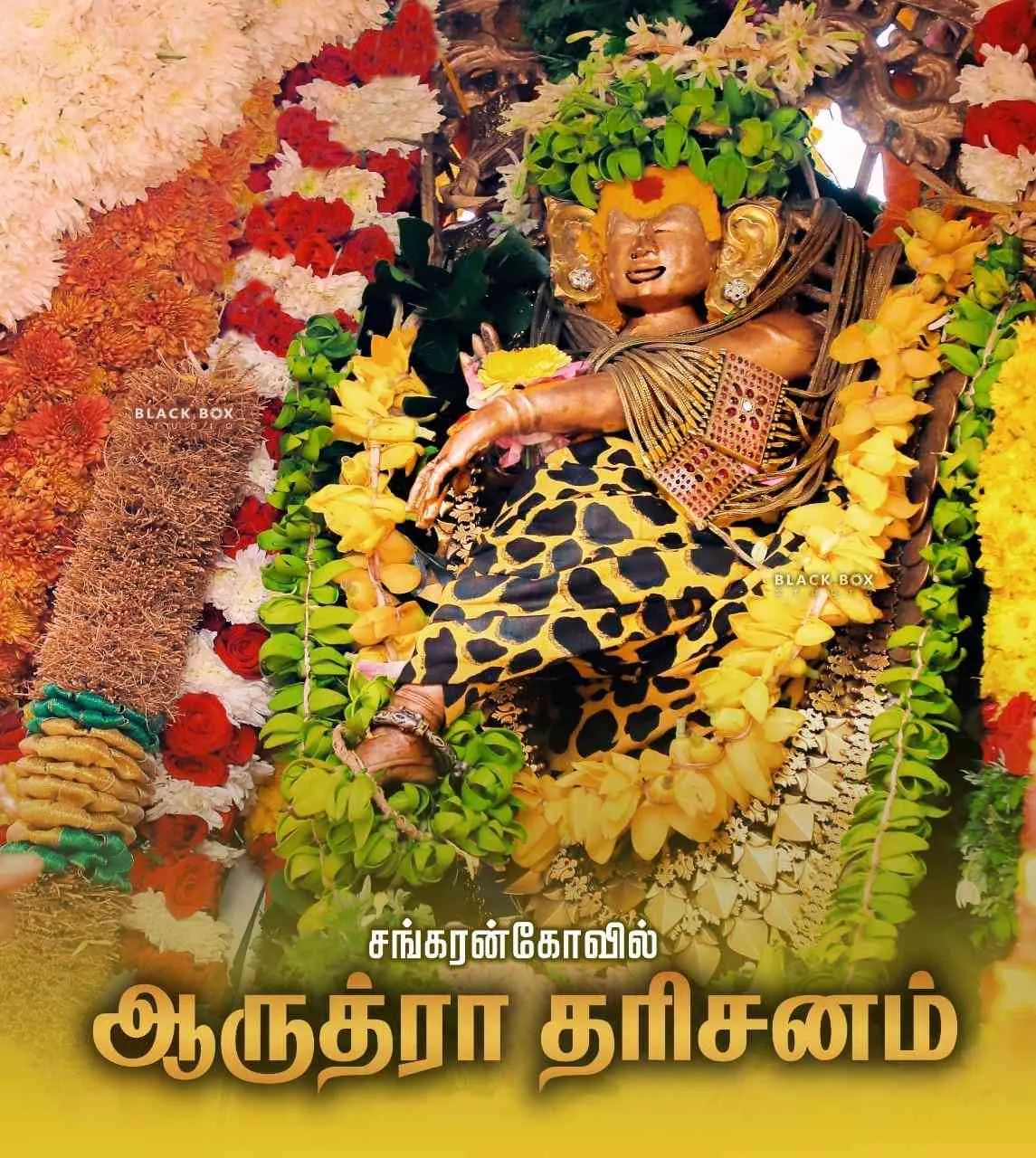 ஆருத்ரா தரிசனம் சுவாமி அம்பாள்
