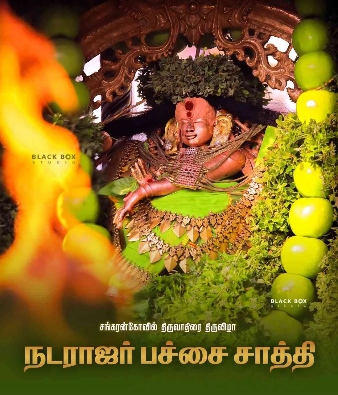 சங்கரன்கோவில் திருவாதிரை திருவிழா நடராஜர் பச்சை சாத்தி