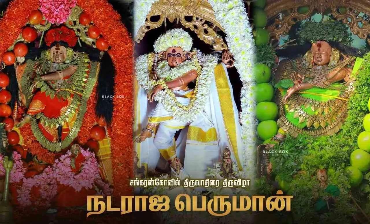 சங்கரன்கோவில் திருவாதிரைத் திருவிழா நடராஜர் பெருமான்