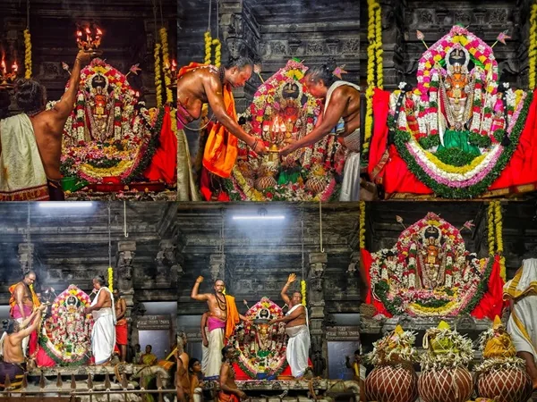 திருக்கல்யாண வைபோக நிகழ்வுகள் அருள்மிகு நெல்லையப்பர் அருள்தரும் காந்திமதி அம்மன் திருக்கோயிலில் 19.11.2023 அன்று திருக்கல்யாண வைபோக நிகழ்வுகள் வெகு சிறப்பாக நடைபெற்றது.