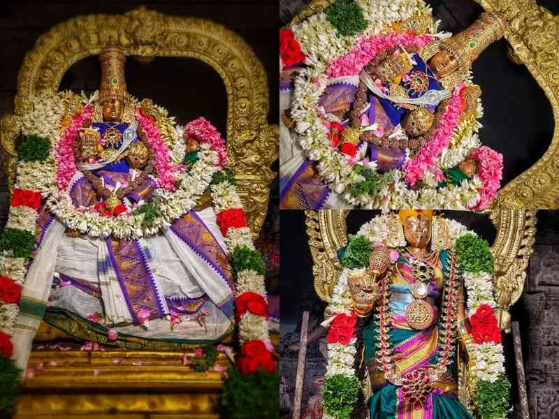 கார்த்திகை மாதம் முதல் சோமவார நிகழ்வுகள் அருள்மிகு நெல்லையப்பர் அருள்தரும் காந்திமதி அம்மன் திருக்கோயிலில் 20.11.2023 அன்று கார்த்திகை மாதம் முதல் சோமவார நிகழ்வுகள் வெகு சிறப்பாக நடைபெற்றது