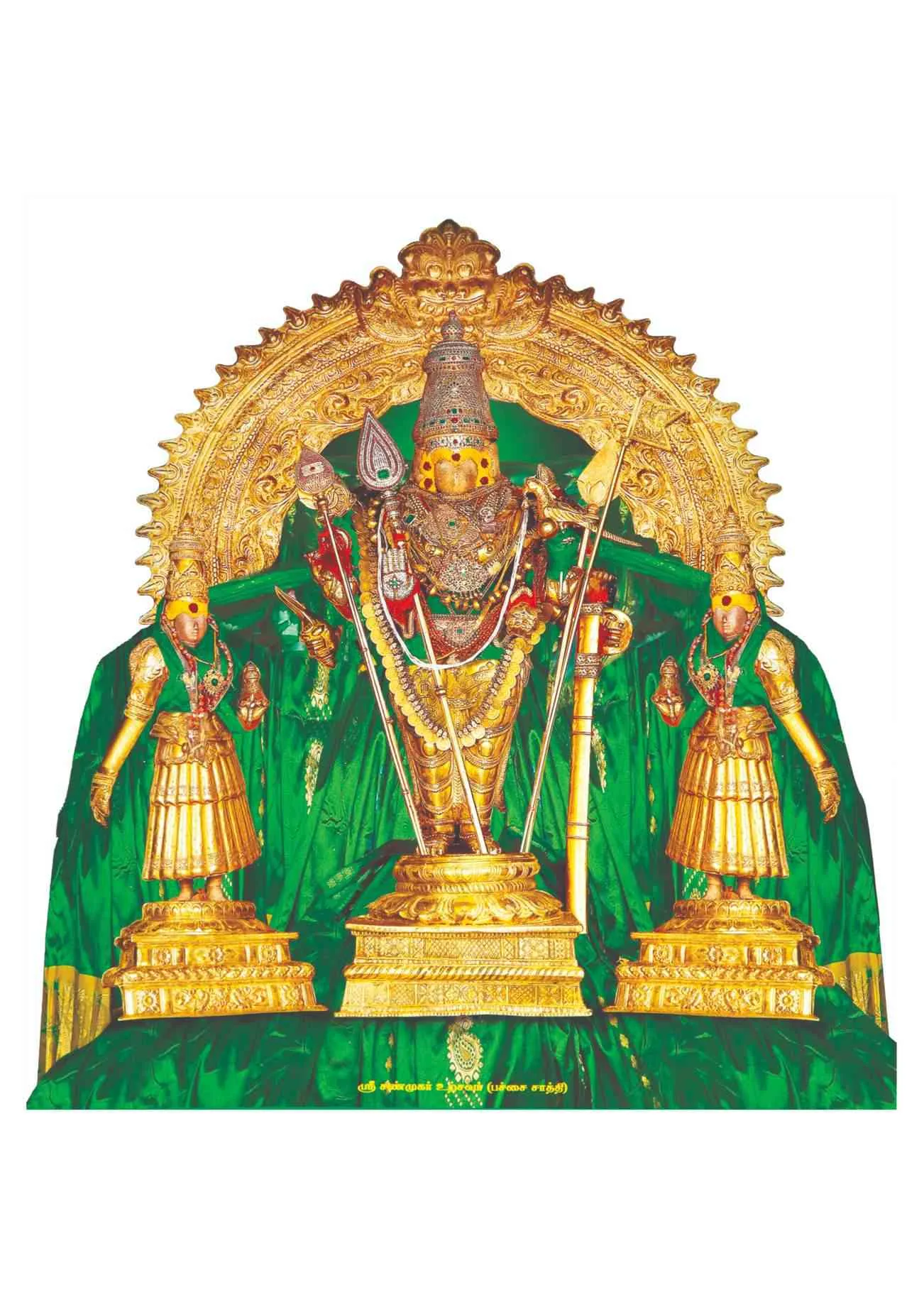 மாசி திருவிழா எட்டாம்  நாள் - பச்சை  சாத்தி திருக்கோலம் மாசி திருவிழா எட்டாம்  நாள் - பச்சை  சாத்தி திருக்கோலம்