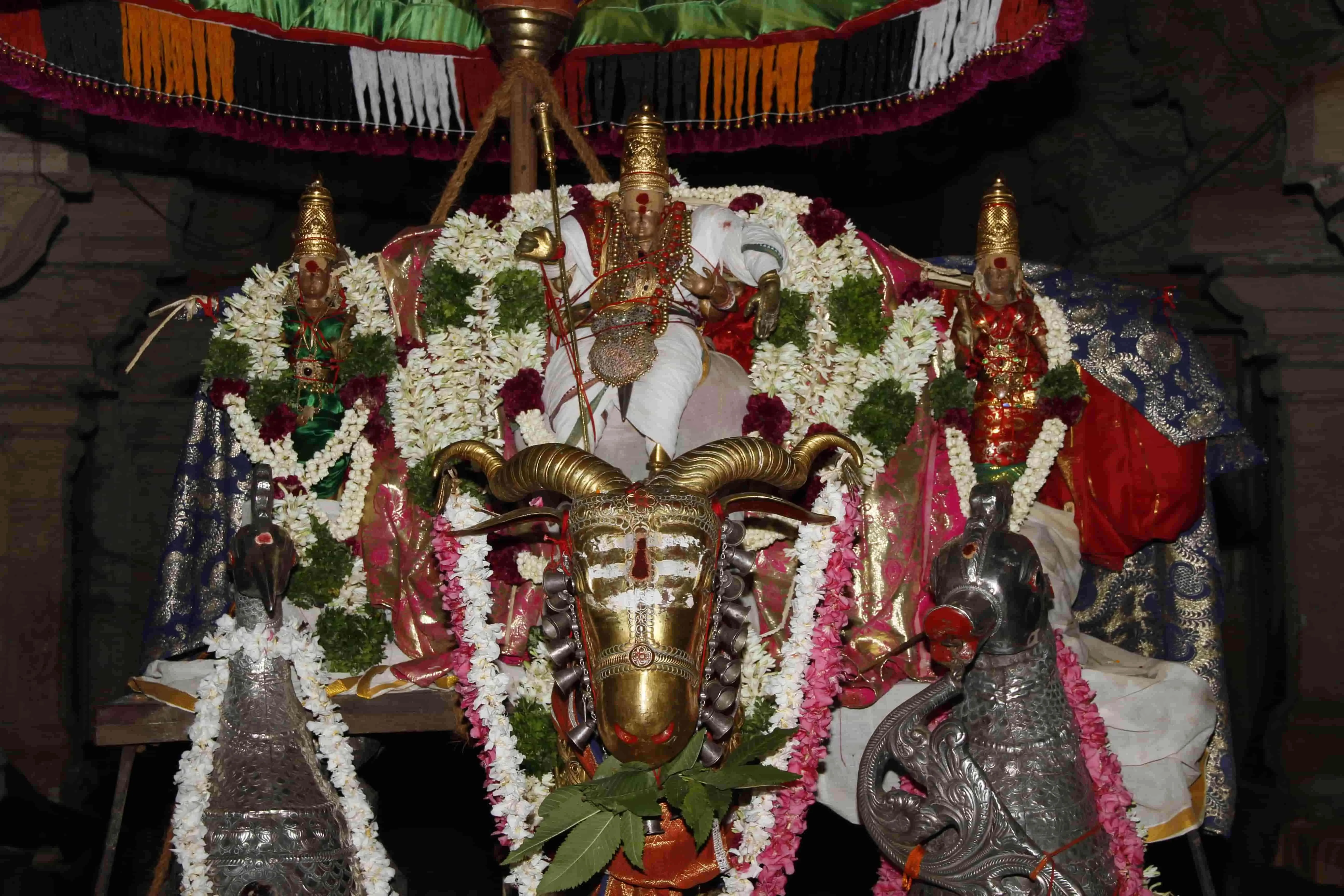 முத்துக்கிடா வாகன சப்பரம் முத்துக்கிடா வாகன சப்பரம் - ஆவணி திருவிழா 2022