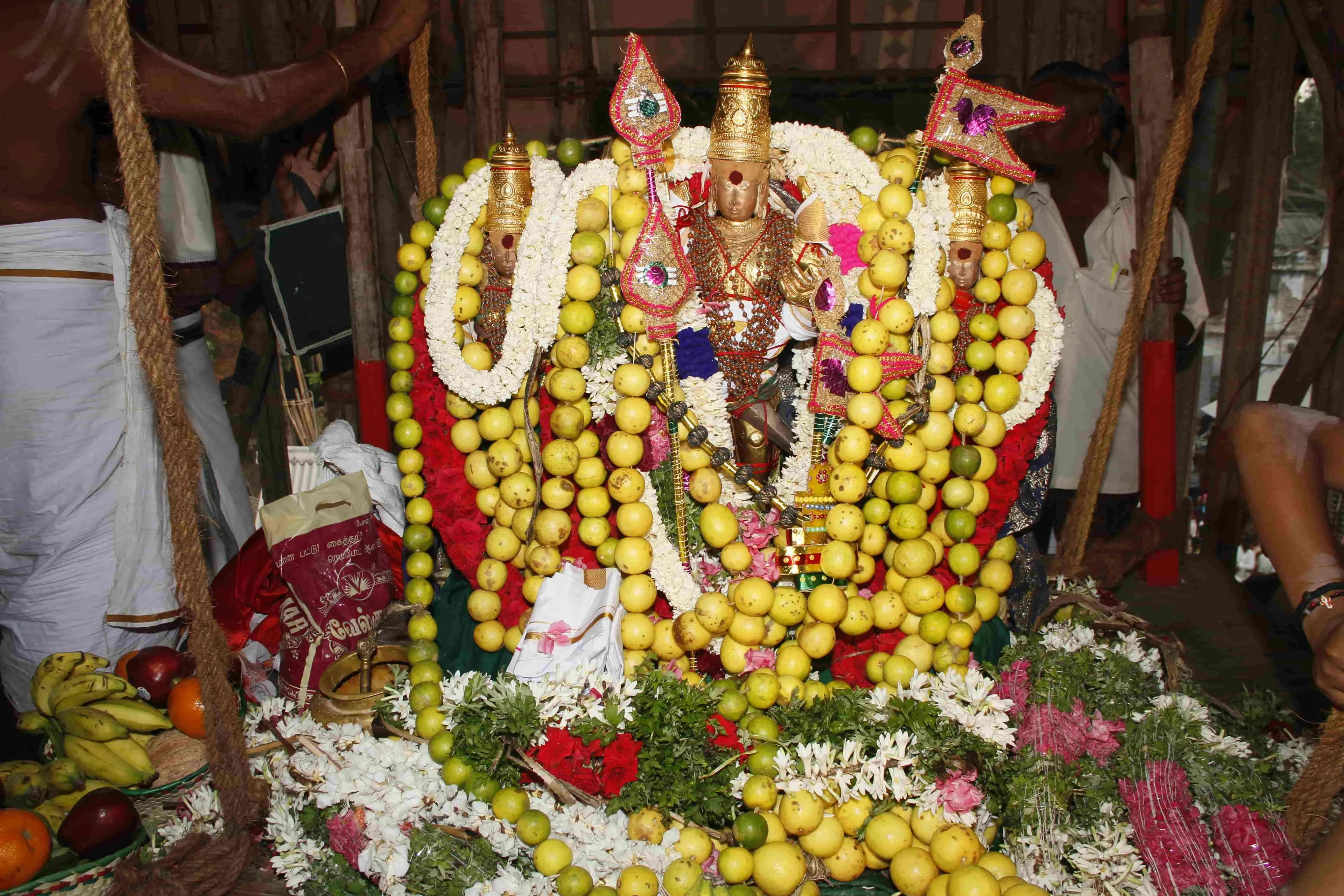 தெப்பத்தேர் தெப்பத்தேர் - மாசி திருவிழா - 2022