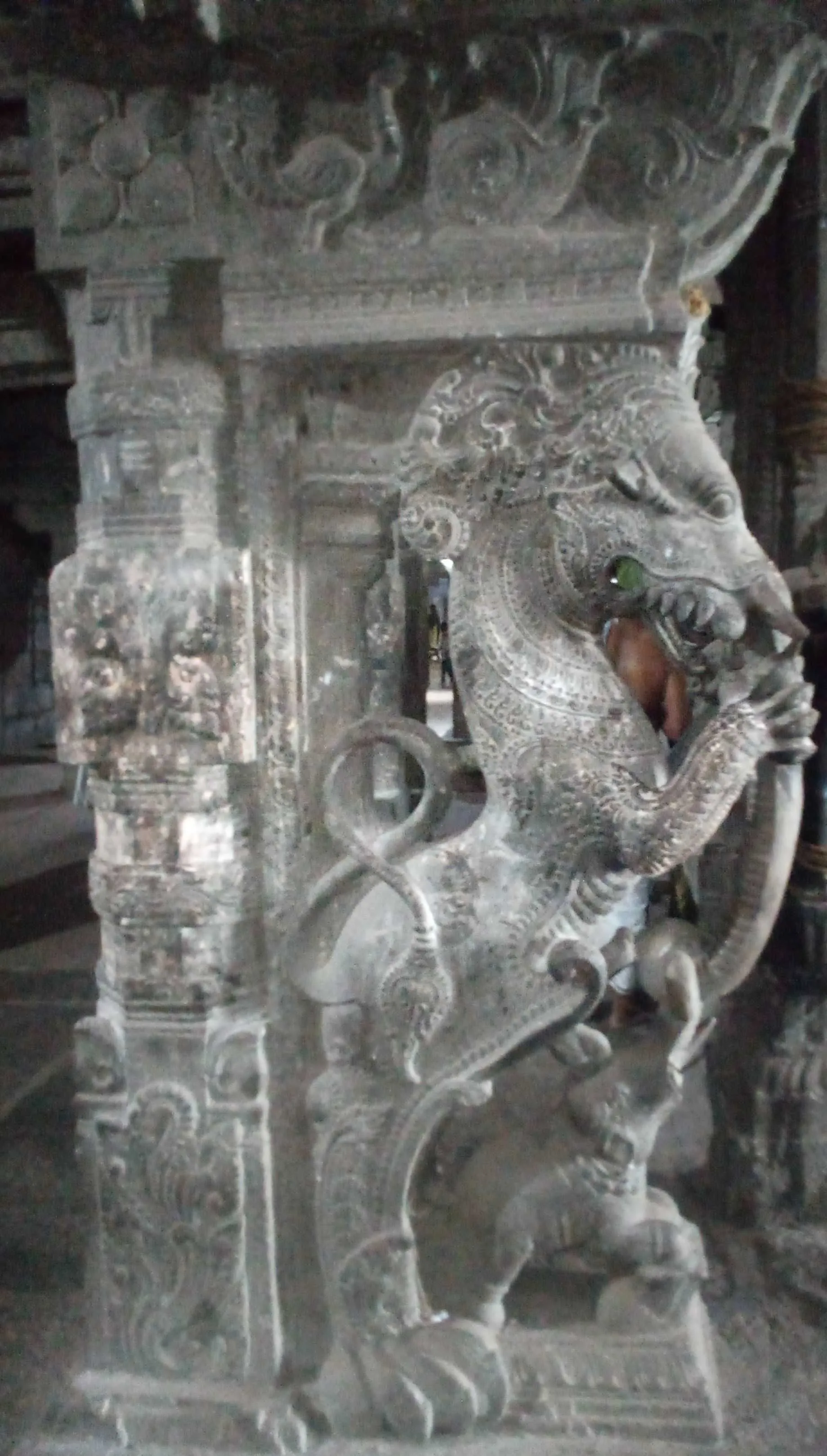 யாழி யாழி