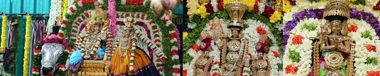 உற்சவா் உற்சவா் வெள்ளி ரிஷப வாகனம்