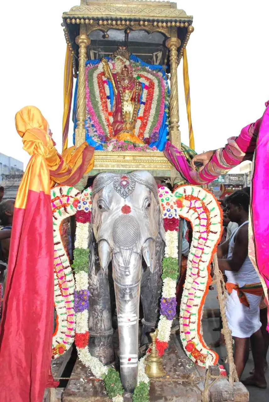 வெள்ளி யானை வாகனம் திருமுலைப்பால் உற்சவம்