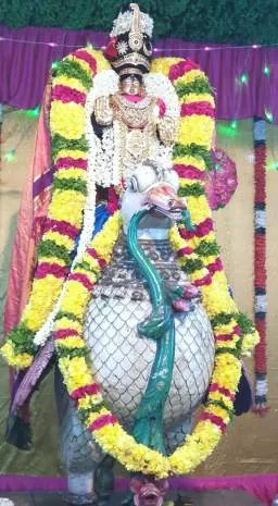 பிரமோற்சவம் பிரம்மோற்சவம் 1-ம் நாள் இரவு  திருவீதிப்புறப்பாடு ஹம்ஸ வாகனம்.