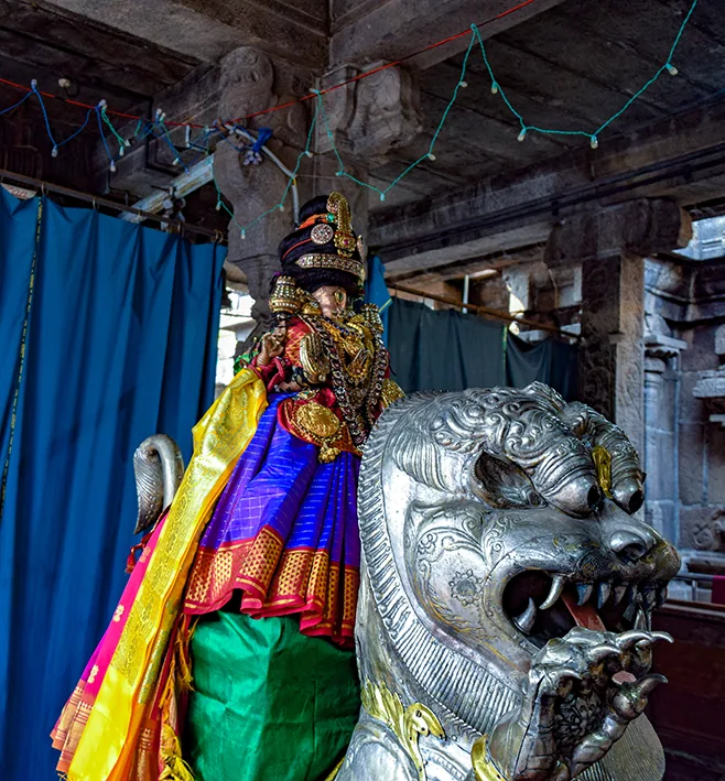 நவராத்திரி  5 ஆம் நாள் சிம்ம வாஹனம் நவராத்திரி  5 ஆம் நாள் சிம்ம வாஹனம்