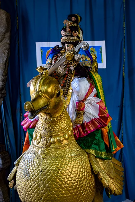 நவராத்திரி 7 ஆம் ஹம்சா வாஹனம் நவராத்திரி 7 ஆம் ஹம்சா வாஹனம்