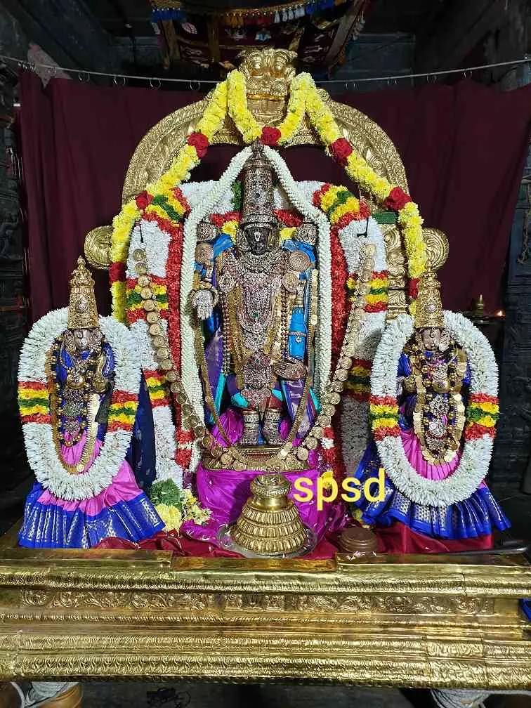 ஆறாம் நாள் இராப்பத்து இராப்பத்து ஆறாம் நாள் ஸ்ரீ ஸ்ரீநிவாசர் திருக்கோலத்தில் ஸ்ரீ பார்த்தசாரதி சுவாமி புறப்பாடு...