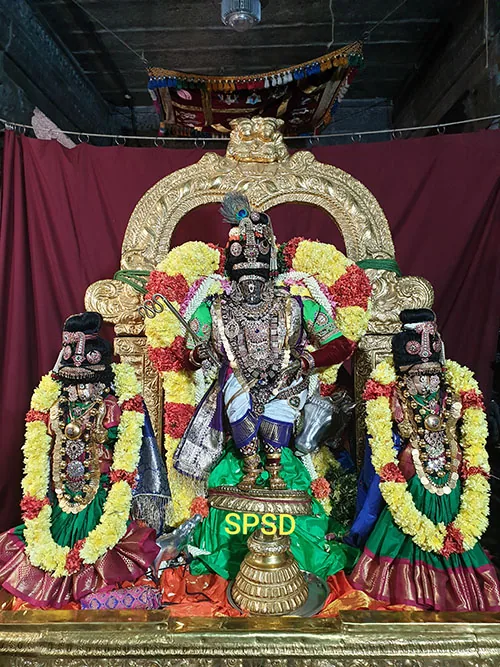 எட்டாம் நாள் இராப்பத்து இராப்பத்து எட்டாம் நாள் ராஜமன்னார் திருக்கோலத்தில் ஸ்ரீ பார்த்தசாரதி புறப்பாடு...