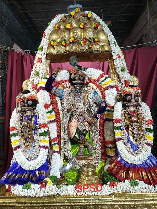 ஓன்பதாம் நாள் இராப்பத்து இராப்பத்து ஒன்பதாம் நாள் கோவர்தனகிரி திருக்கோலத்தில் ஸ்ரீ பார்த்தசாரதி சுவாமி புறப்பாடு...