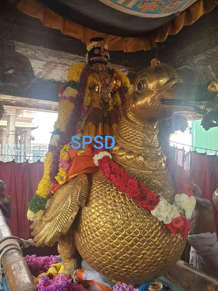 ஸ்ரீ ஆண்டாள் நீராட்டம் உற்சவம் இரண்டாம் நாள்  7.1.19 ஸ்ரீ ஆண்டாள் நீராட்டம் உற்சவம் இரண்டாம் நாள்  7.1.19