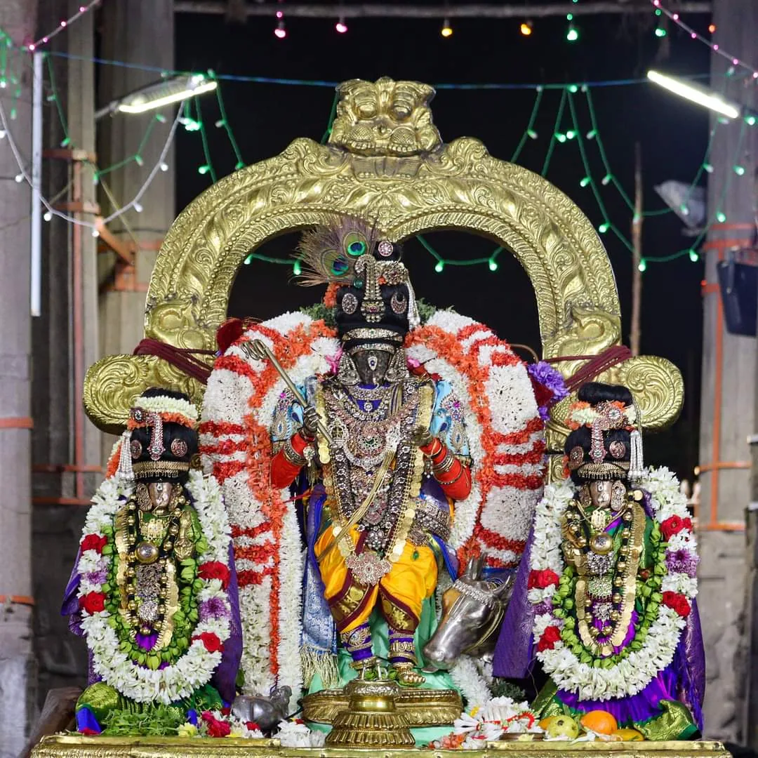 ராப்பத்து 8ஆம் நாள் ராப்பத்து 8ஆம் நாள்-ஸ்ரீ ராஜமன்னார் திருக்கோலம்