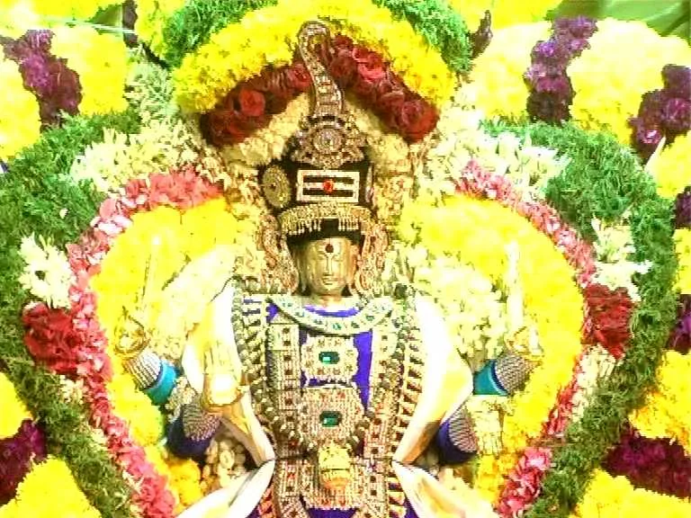 வைகாசி  விசாகம் வைகாசி  விசாகம் திருவிழா வடபழனி ஆண்டவர் திருக்கோயிலில் முக்கிய திருவிழா  ஆகும். வைகாசி விசாகம் திருவிழா நாளில் மட்டுமே மரத்தேர் வீதி உலா புறப்பாடு நடைபெறும். பக்தர்கள் அதிகளவில் கலந்து கொள்வார்கள். மிகவும் விமர்செய்யாக நடைபெறும்.