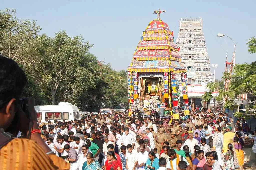 தேர்த்திருவிழா பங்குனி பிரம்மோற்சவத்தின் 7 ஆம் நாள்  தேர்த்திருவிழா காட்சி