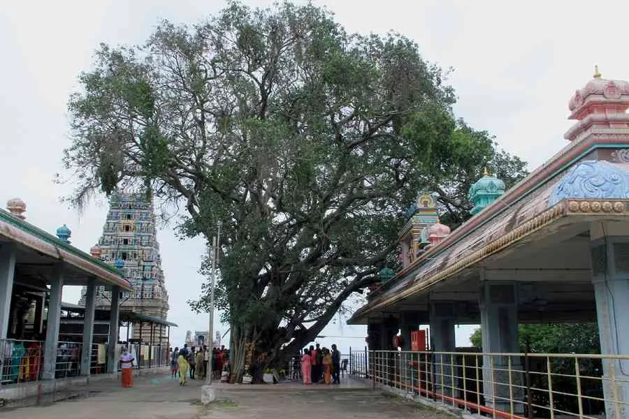 கோயில் தோற்றம்