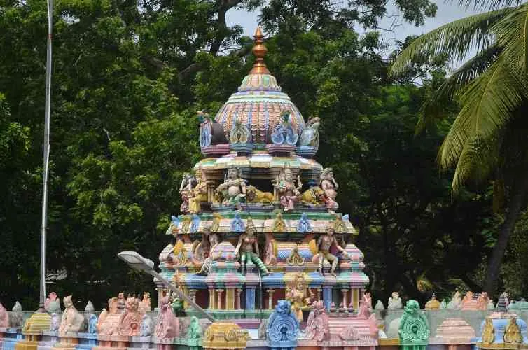 விமானம் விமானம்