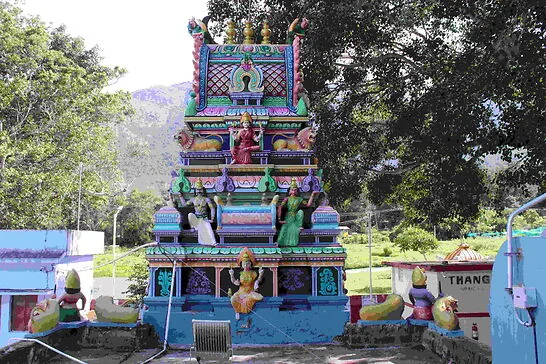 அருள்மிகு மாரியம்மன் திருக்கோயில் கோவிலின் விமானம்