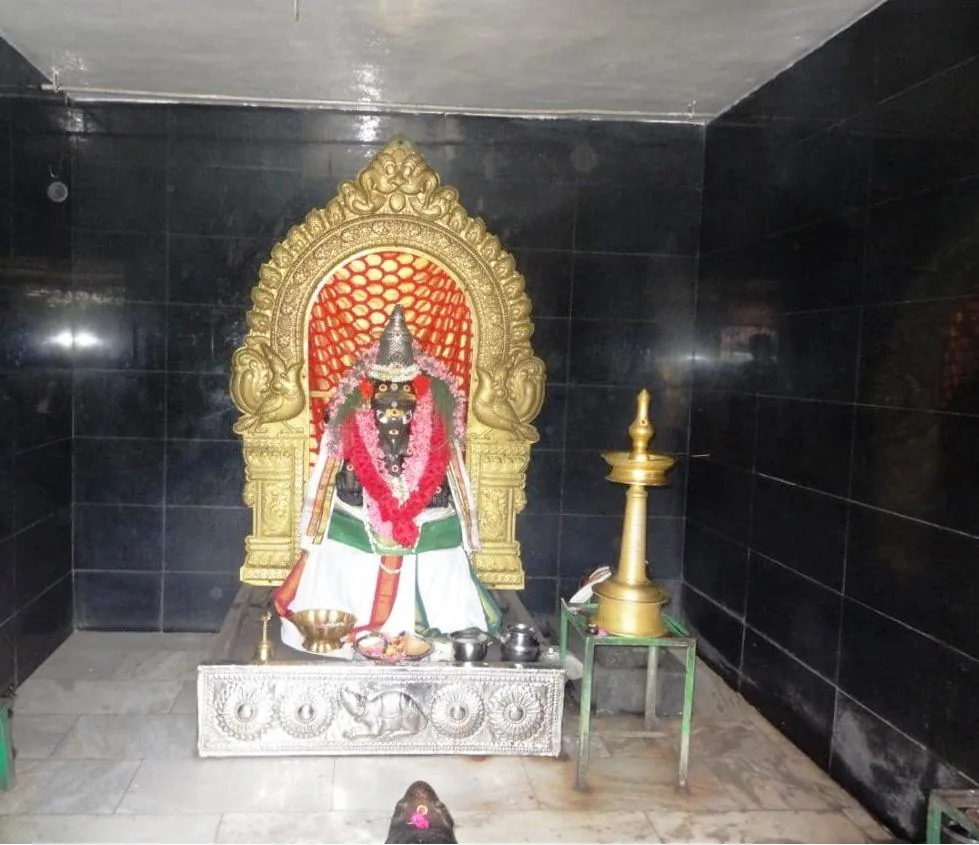 அருள்மிகு காரணவிநாயகர் திருக்கோயில் அருள்மிகு காரணவிநாயகர் திருக்கோயில்