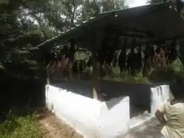 Arulmigu Aachiamman Temple, Seshansavadi, Ayodhyapattianam - 636111 அருள்மிகு ஆச்சியம்மன் திருக்கோயில், Seshansavadi, Ayodhyapattianam - 636111, Salem - Ancient Temple Architecture and History Image 2