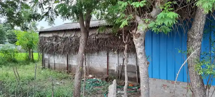 Arulmigu Aadaikeswarar Temple, Vaippur - 610101