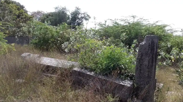 Arulmigu Aadhi Eswarar Temple, Annamangalam - 605201 Arulmigu Aadhi Eswarar Temple, Annamangalam - 605201, Viluppuram - Ancient Temple Architecture and History Image 3