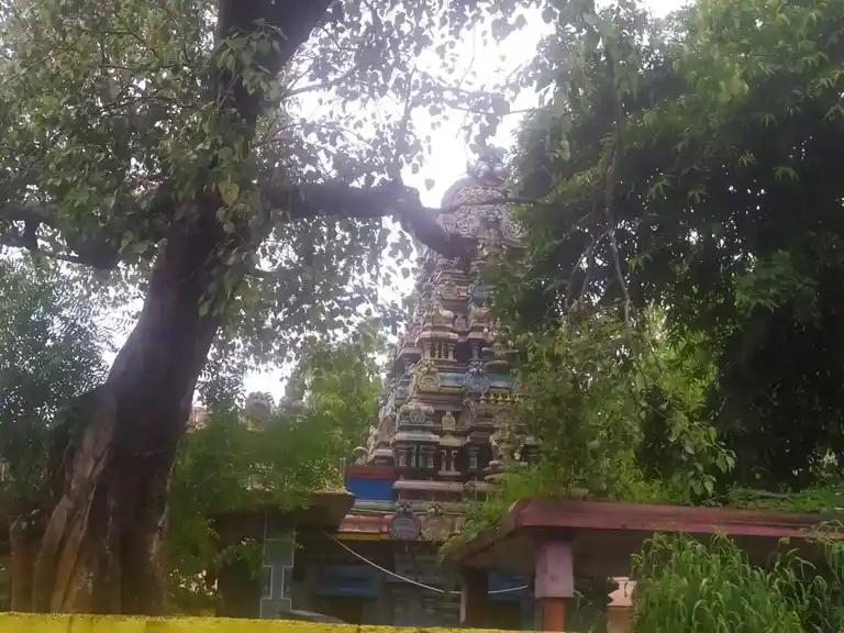 Arulmigu Aadhi Padavattamman Temple, Kosapet, Chennai - 600112