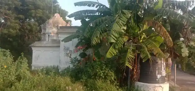 Arulmigu Aadhi Panduranganadha Swamy Temple, Nagalampattu - 604152 அருள்மிகு ஆதிபாண்டுரங்கநாதசுவாமி திருக்கோயில், Nagalampattu - 604152, Viluppuram - Ancient Temple Architecture and History Image 3