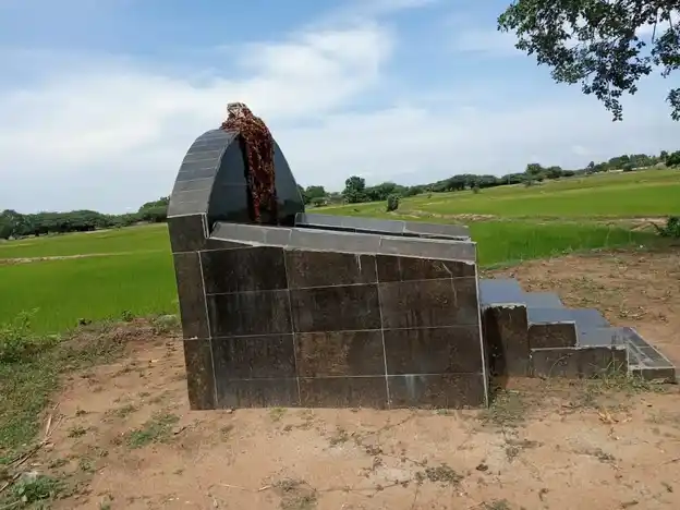 Arulmigu Aagasa Ayyanar Temple, Aavanam - 614629