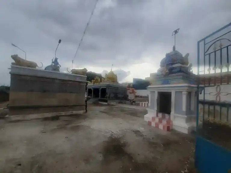 Arulmigu Aaladikarupannaswamy Temple, Thirupattoor - 621105 Temple