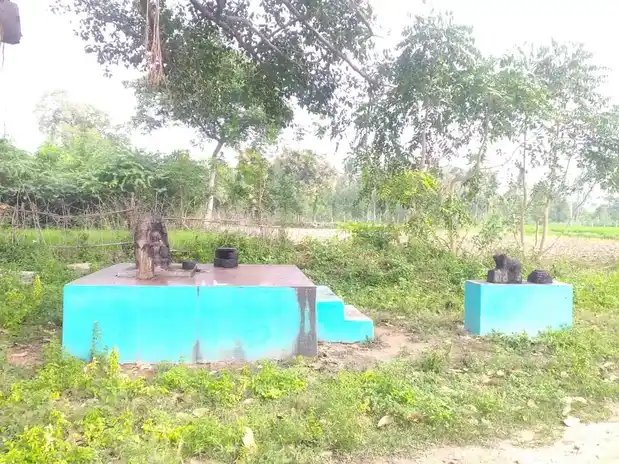 Arulmigu Aalamaratthupillaiyar Temple, Oorani Paiyur - 621316