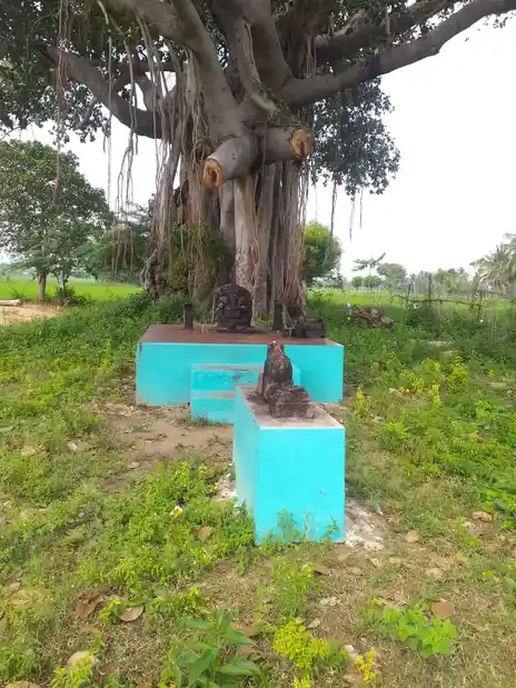 Arulmigu Aalamaratthupillaiyar Temple, Oorani Paiyur - 621316 அருள்மிகு ஆலமரத்துபிள்ளையார் திருக்கோயில், Oorani Paiyur - 621316, Pudukkottai - Ancient Temple Architecture and History Image 4