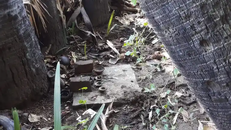 Arulmigu Aalathurswamy Temple, Mummdichozhamangalam - 621712 அருள்மிகு ஆலந்தர்சாமி திருக்கோயில், Mummdichozhamangalam - 621712, Thiruchirappalli - Ancient Temple Architecture and History Image 2