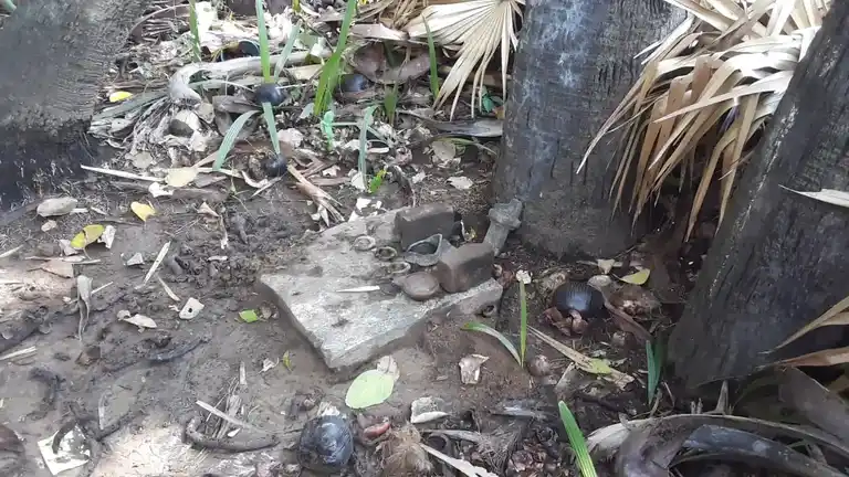 Arulmigu Aalathurswamy Temple, Mummdichozhamangalam - 621712 அருள்மிகு ஆலந்தர்சாமி திருக்கோயில், Mummdichozhamangalam - 621712, Thiruchirappalli - Ancient Temple Architecture and History Image 3