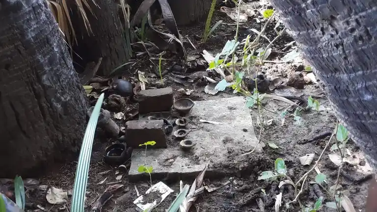 Arulmigu Aalathurswamy Temple, Mummdichozhamangalam - 621712 அருள்மிகு ஆலந்தர்சாமி திருக்கோயில், Mummdichozhamangalam - 621712, Thiruchirappalli - Ancient Temple Architecture and History Image 4