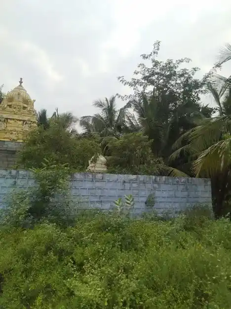 Arulmigu Aanaikal Perumal Temple, Mallasamudram West - 637503 அருள்மிகு ஆணைக்கல் பெருமாள் திருக்கோயில், Mallasamudram West - 637503, Namakkal - Ancient Temple Architecture and History Image 3