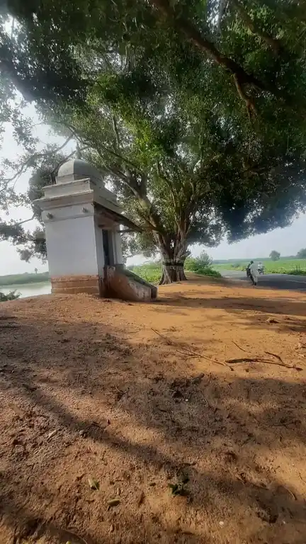 Arulmigu Aanantha Vinayagar Temple, Pappulnayakkanpatti - 623603 அருள்மிகு. ஆனந்தவிநாயகர் திருக்கோயில், Pappulnayakkanpatti - 623603, Ramanathapuram - Ancient Temple Architecture and History Image 3