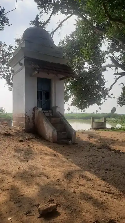 Arulmigu Aanantha Vinayagar Temple, Pappulnayakkanpatti - 623603 அருள்மிகு. ஆனந்தவிநாயகர் திருக்கோயில், Pappulnayakkanpatti - 623603, Ramanathapuram - Ancient Temple Architecture and History Image 4