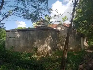 Arulmigu Aananthavinayagar Temple, Dhevangud - 610803 அருள்மிகு ஆனந்தவிநாயகர் திருக்கோயில்,  - 610803, Thiruvarur - Ancient Temple Architecture and History Image 3